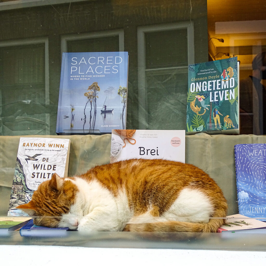 groetjes uit Utrecht