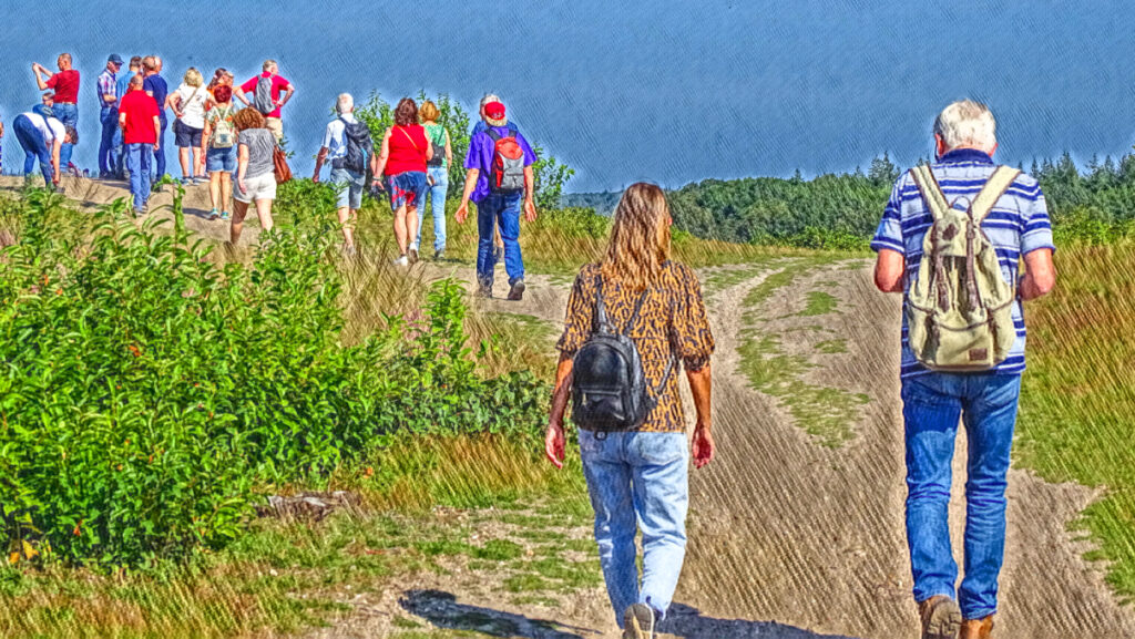 wandelen op de Ginkelse hei